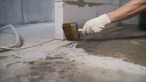 SJ Waterproofing Pros Crawl Space Encapsulation coverage map for Rosebush, MI and surrounding area